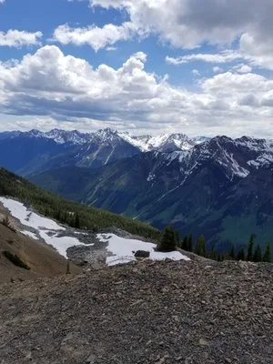 Pnw Preferred LLC photo 5
